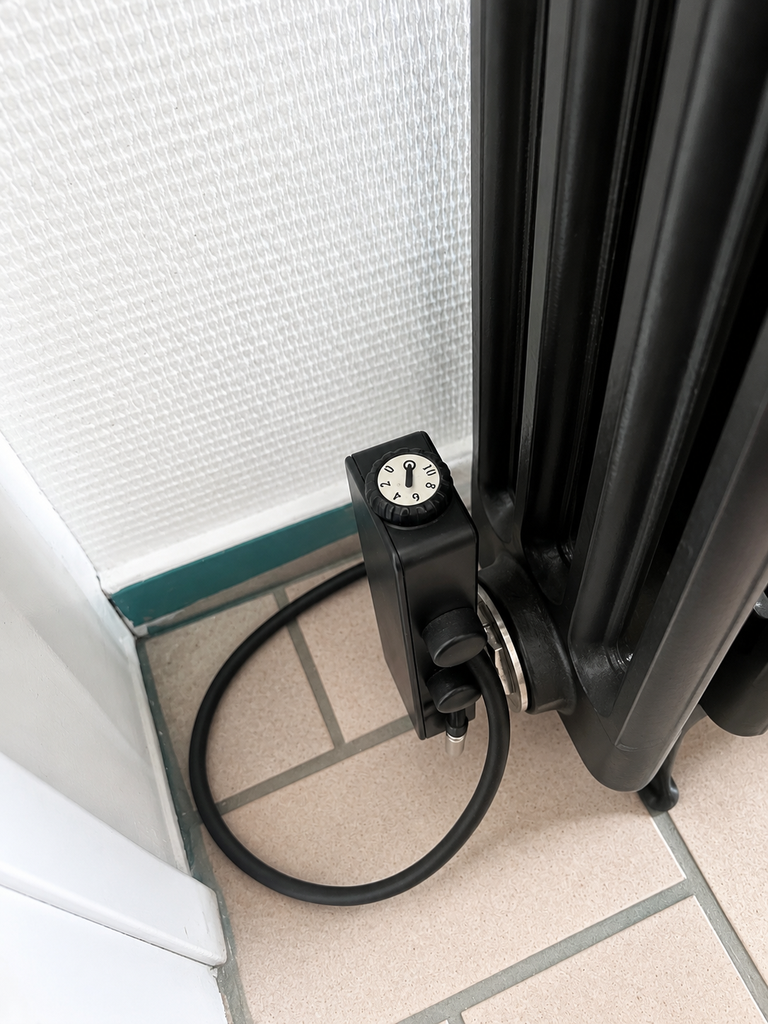 thermoplongeur.webp