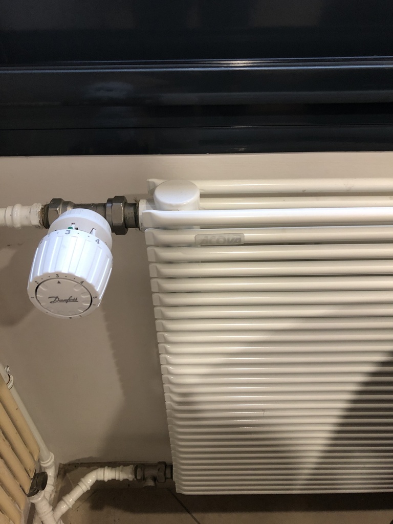 Radiateur Acova Striane